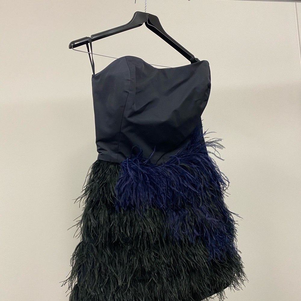 Va Va Voom Feather Dress-
